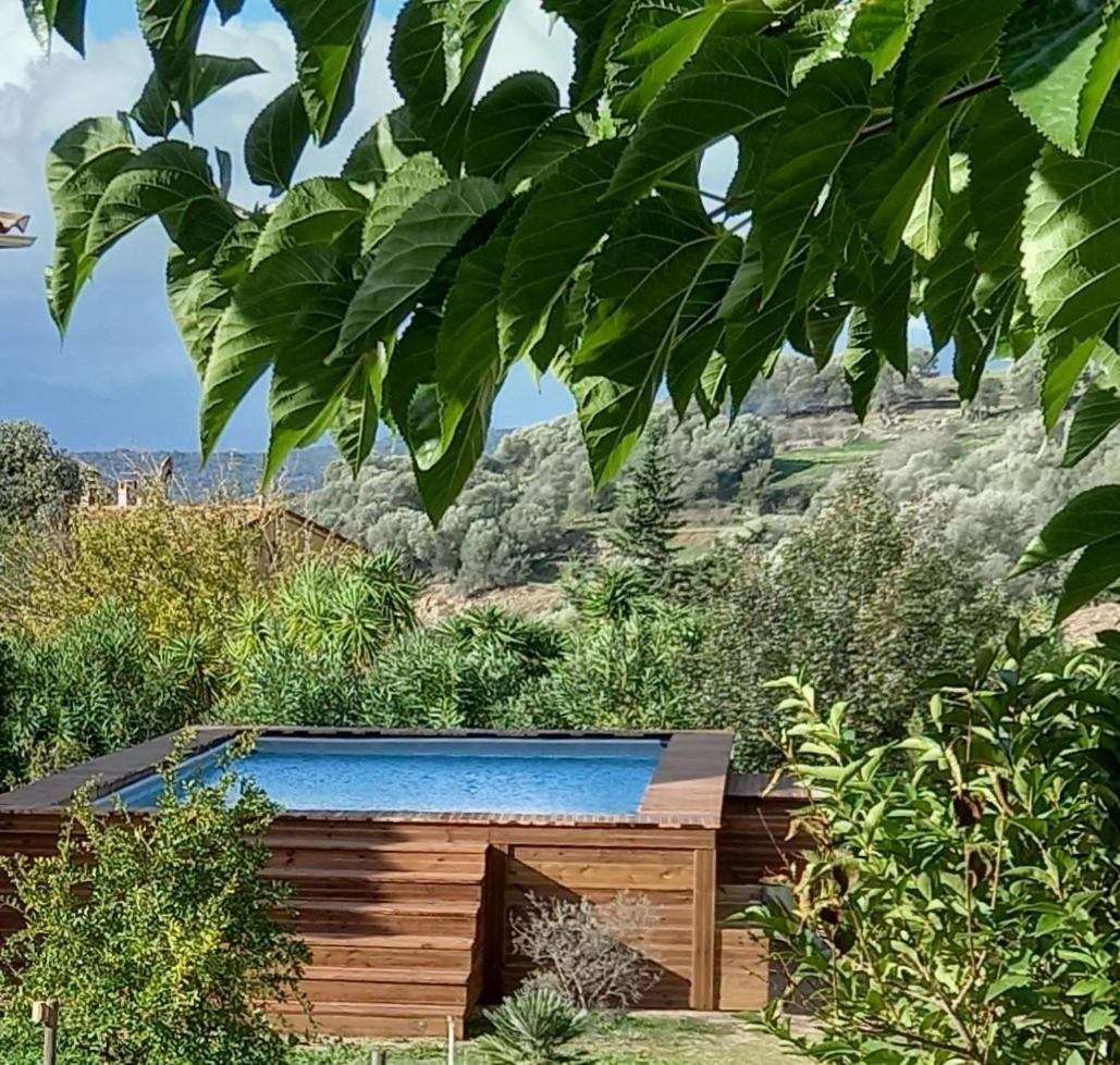 Villa L'Alivu Ajaccio  Esterno foto